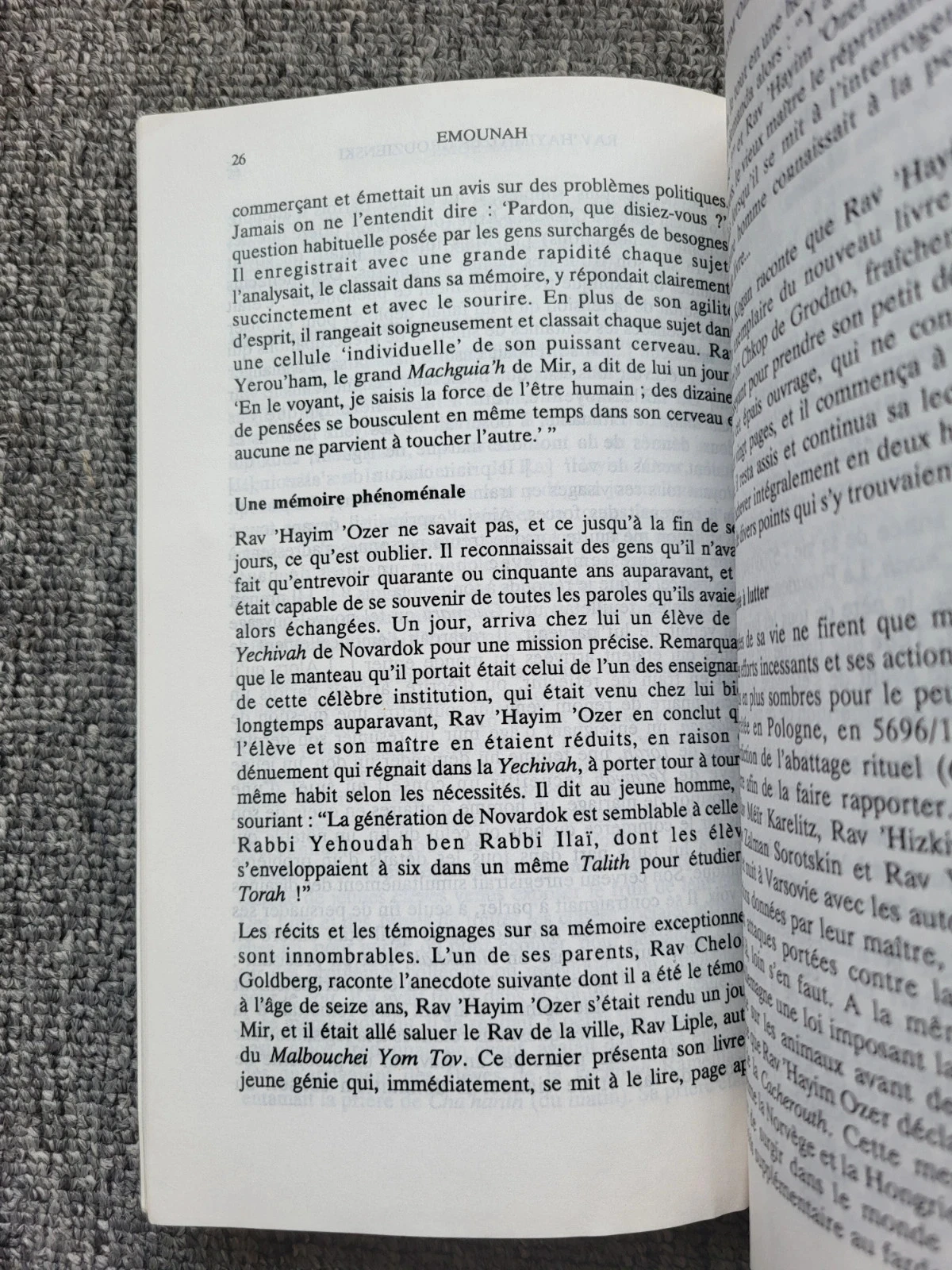 Livre Emounah n° 18 : Pensamento judaico, Torá, Judaísmo (Rav Grodzienski) - Raro – photo 3